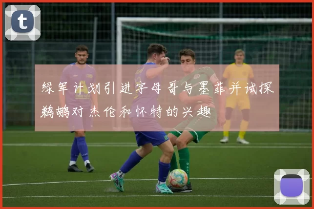 绿军计划引进字母哥与墨菲并试探鹈鹕对杰伦和怀特的兴趣